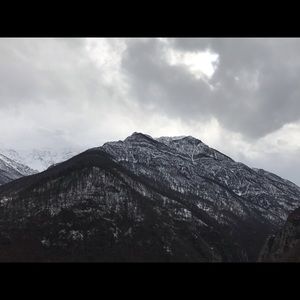 Meet your Posher, Neshat